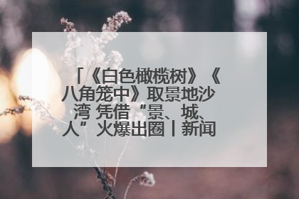 《白色橄榄树》《八角笼中》取景地沙湾 凭借“景、城、人”火爆出圈丨新闻发布最前线