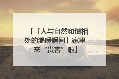 「人与自然和谐相处的温暖瞬间」家里来“贵客”啦