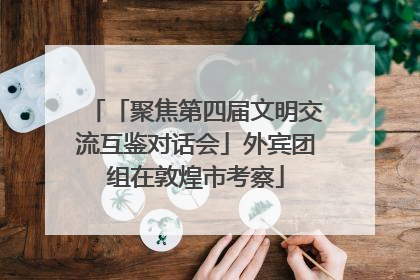「聚焦第四届文明交流互鉴对话会」外宾团组在敦煌市考察