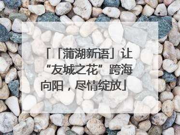 「蒲湖新语」让“友城之花”跨海向阳，尽情绽放