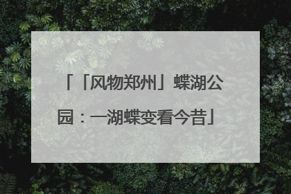 「风物郑州」蝶湖公园：一湖蝶变看今昔