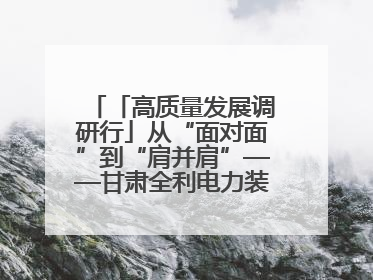 「高质量发展调研行」从“面对面”到“肩并肩”——甘肃全利电力装备生产制造项目一线见闻