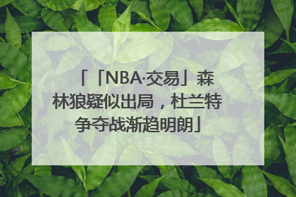 「NBA·交易」森林狼疑似出局，杜兰特争夺战渐趋明朗