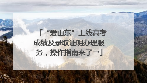 “爱山东”上线高考成绩及录取证明办理服务，操作指南来了→
