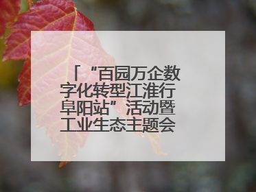“百园万企数字化转型江淮行阜阳站”活动暨工业生态主题会议成功举办