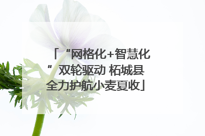 “网格化+智慧化”双轮驱动 柘城县全力护航小麦夏收