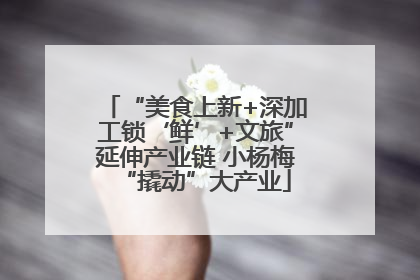 “美食上新+深加工锁‘鲜’+文旅”延伸产业链 小杨梅“撬动”大产业