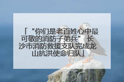 “你们是老百姓心中最可敬的消防子弟兵” 长沙市消防救援支队完成龙山抗洪使命归队