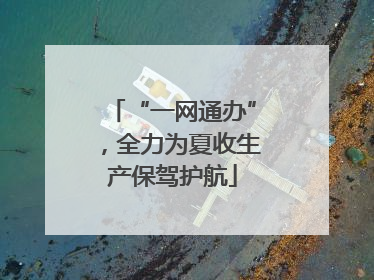 “一网通办”，全力为夏收生产保驾护航