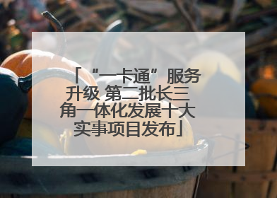 “一卡通”服务升级 第二批长三角一体化发展十大实事项目发布