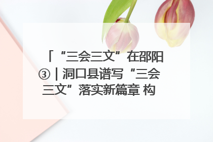 “三会三文”在邵阳③｜洞口县谱写“三会三文”落实新篇章 构建协同联动大格局