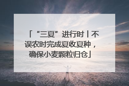 “三夏”进行时丨不误农时完成夏收夏种，确保小麦颗粒归仓