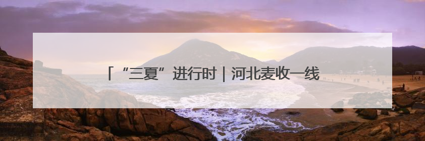 “三夏”进行时｜河北麦收一线见闻（一）：小麦机收减损“竞技” 农机高手麦田“过招”