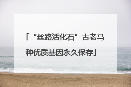 “丝路活化石”古老马种优质基因永久保存