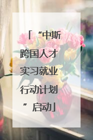 “中斯跨国人才实习就业行动计划”启动