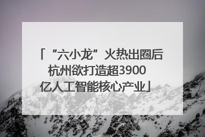 “六小龙”火热出圈后 杭州欲打造超3900亿人工智能核心产业