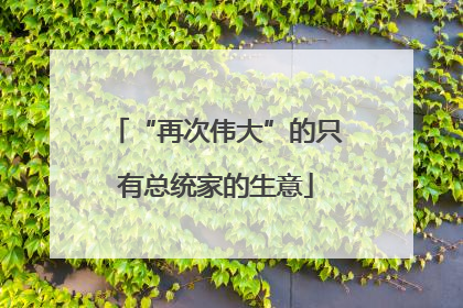 “再次伟大”的只有总统家的生意