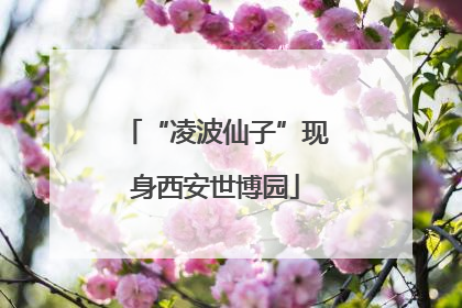 “凌波仙子”现身西安世博园