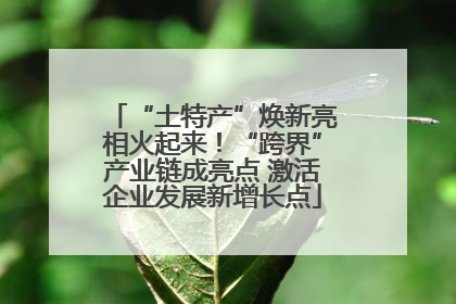 “土特产”焕新亮相火起来！“跨界”产业链成亮点 激活企业发展新增长点
