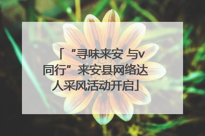 “寻味来安 与v同行”来安县网络达人采风活动开启