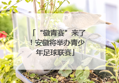 “徽青赛”来了！安徽将举办青少年足球联赛