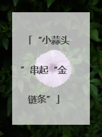 “小蒜头”串起“金链条”