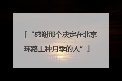 “感谢那个决定在北京环路上种月季的人”