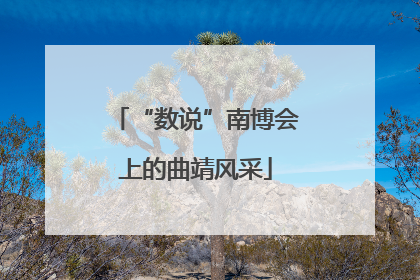 “数说”南博会上的曲靖风采
