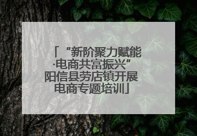 “新阶聚力赋能·电商共富振兴”阳信县劳店镇开展电商专题培训
