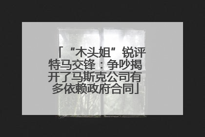 “木头姐”锐评特马交锋：争吵揭开了马斯克公司有多依赖政府合同
