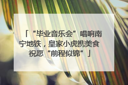 “毕业音乐会”唱响南宁地铁，皇家小虎携美食祝愿“前程似锦”