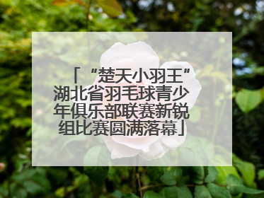 “楚天小羽王”湖北省羽毛球青少年俱乐部联赛新锐组比赛圆满落幕