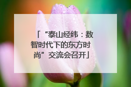 “泰山经纬：数智时代下的东方时尚”交流会召开