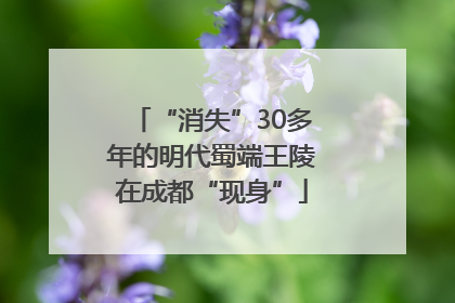 “消失”30多年的明代蜀端王陵在成都“现身”
