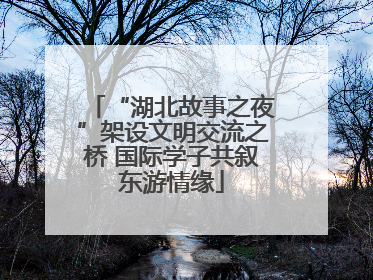 “湖北故事之夜”架设文明交流之桥 国际学子共叙东游情缘
