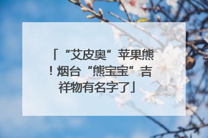 “艾皮奥”苹果熊！烟台“熊宝宝”吉祥物有名字了