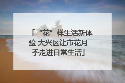 “花”样生活新体验 大兴区让市花月季走进日常生活
