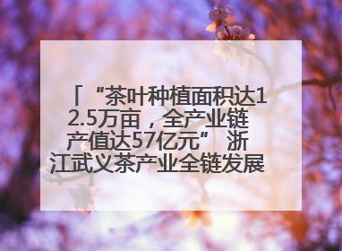 “茶叶种植面积达12.5万亩，全产业链产值达57亿元” 浙江武义茶产业全链发展“加速度”