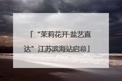 “茉莉花开·盐艺直达”江苏滨海站启幕