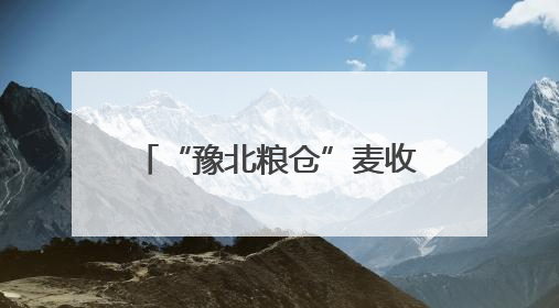“豫北粮仓”麦收跑出“加速度”