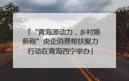 “青海源动力，乡村焕新程”央企消费帮扶聚力行动在青海西宁举办