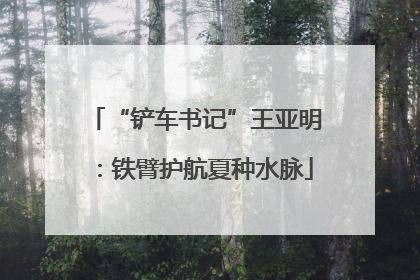 “铲车书记”王亚明：铁臂护航夏种水脉