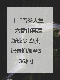 “鸟类天堂”六盘山再添新成员 鸟类记录增加至336种