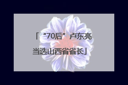 “70后”卢东亮当选山西省省长