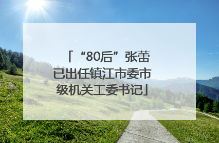“80后”张蕾已出任镇江市委市级机关工委书记