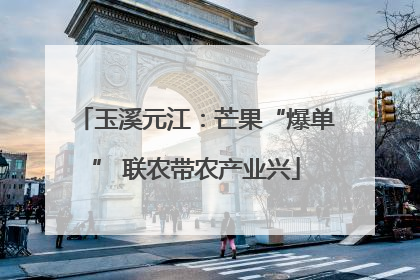 玉溪元江：芒果“爆单” 联农带农产业兴