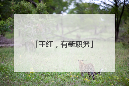 王红，有新职务