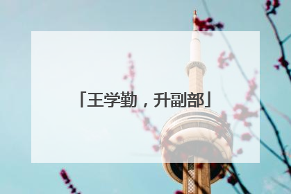 王学勤，升副部