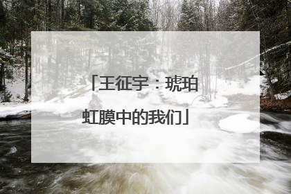 王征宇：琥珀虹膜中的我们
