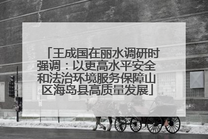 王成国在丽水调研时强调：以更高水平安全和法治环境服务保障山区海岛县高质量发展